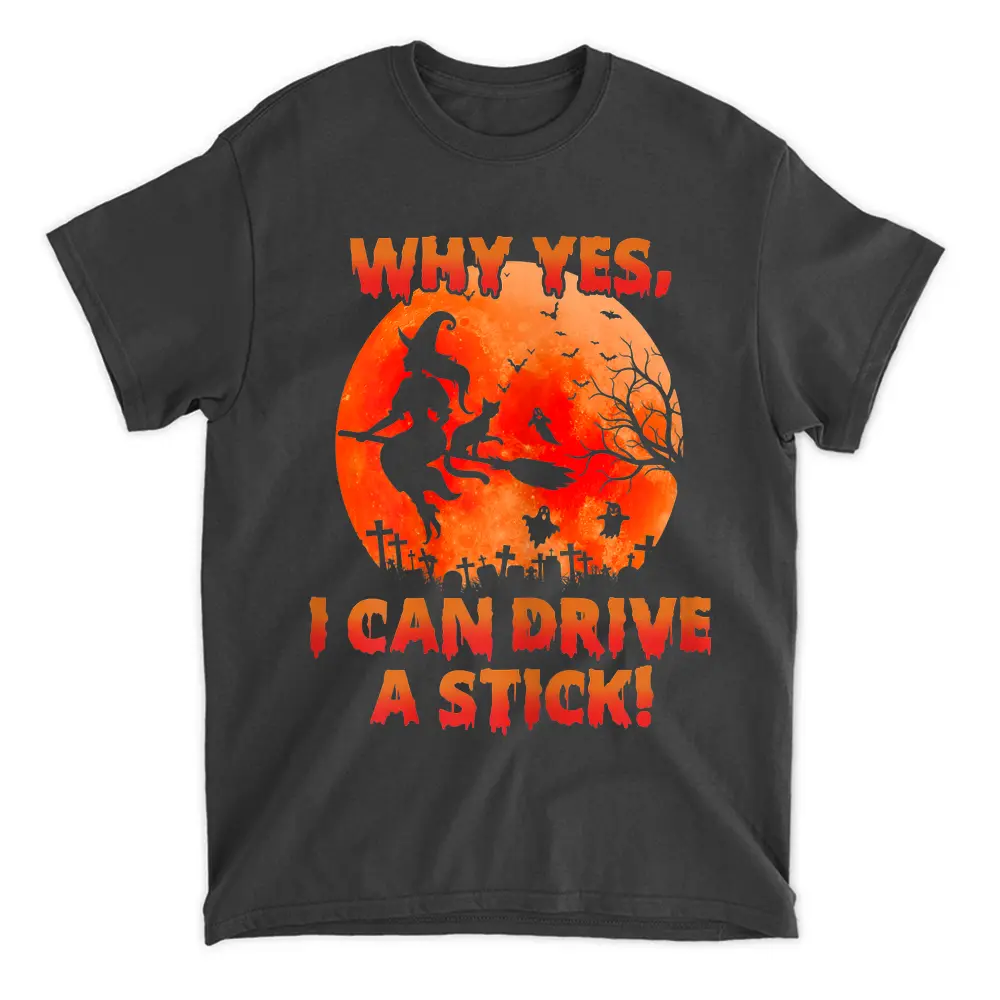 Womens Funny Witch Costume Why Yes I Can Drive A Stick Halloween T-Shirt