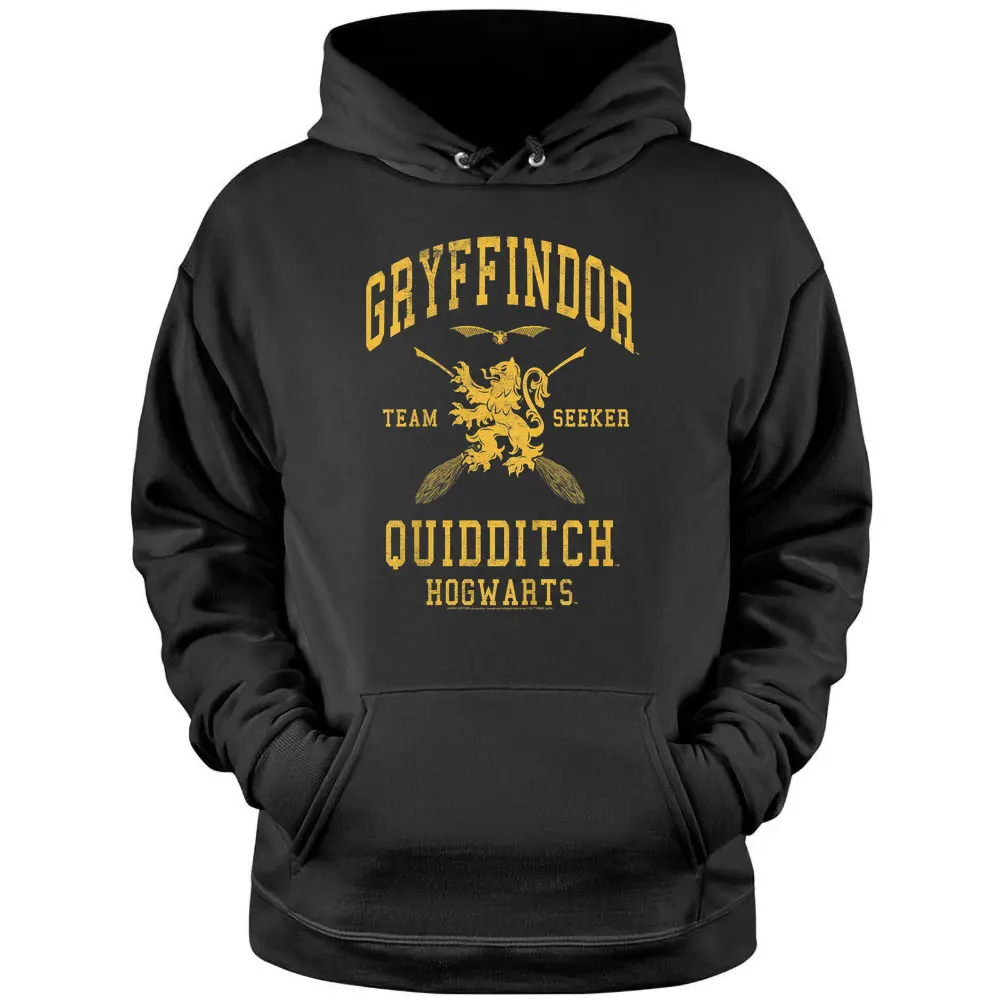 Kids Harry Potter Gryffindor Team Seeker Pullover Hoodie